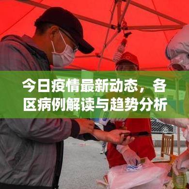 今日疫情最新动态，各区病例解读与趋势分析