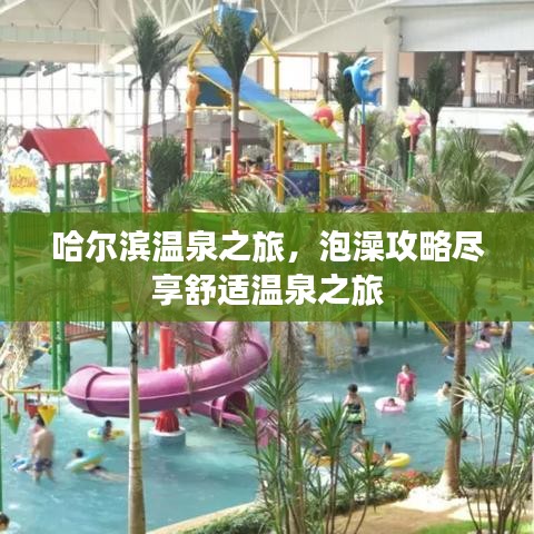 哈尔滨温泉之旅，泡澡攻略尽享舒适温泉之旅