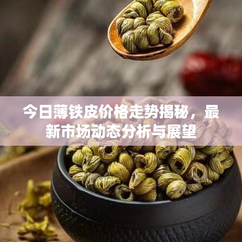 今日薄铁皮价格走势揭秘，最新市场动态分析与展望