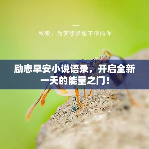 励志早安小说语录，开启全新一天的能量之门！