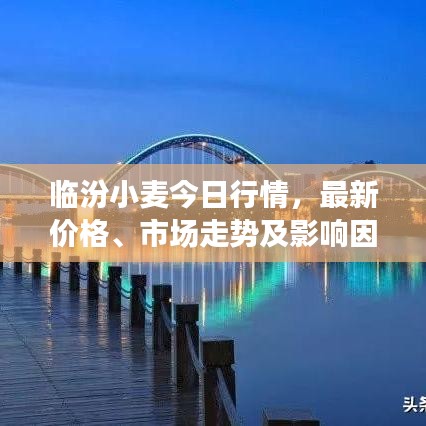 临汾小麦今日行情，最新价格、市场走势及影响因素深度解析