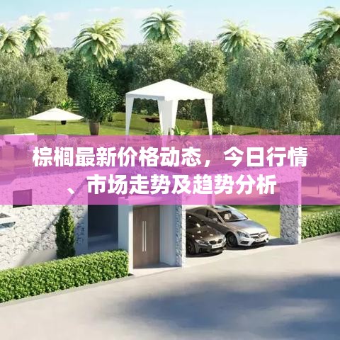 棕榈最新价格动态，今日行情、市场走势及趋势分析