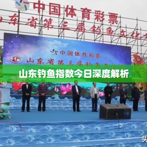 山东钓鱼指数今日深度解析