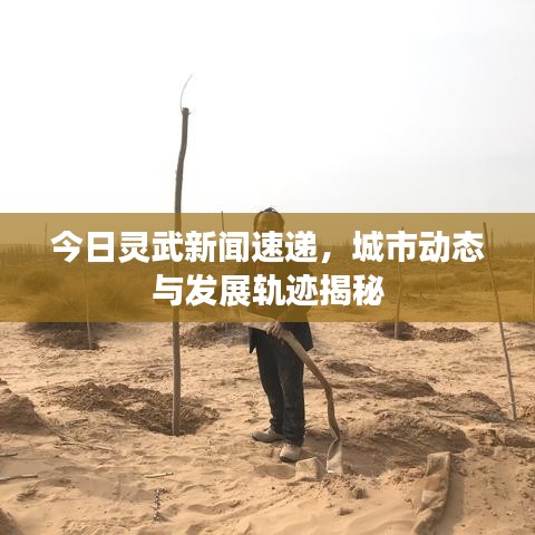 今日灵武新闻速递，城市动态与发展轨迹揭秘
