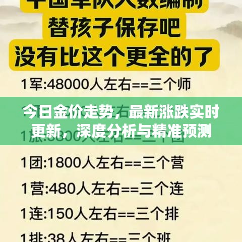 今日金价走势，最新涨跌实时更新，深度分析与精准预测
