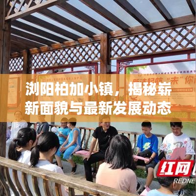 浏阳柏加小镇，揭秘崭新面貌与最新发展动态