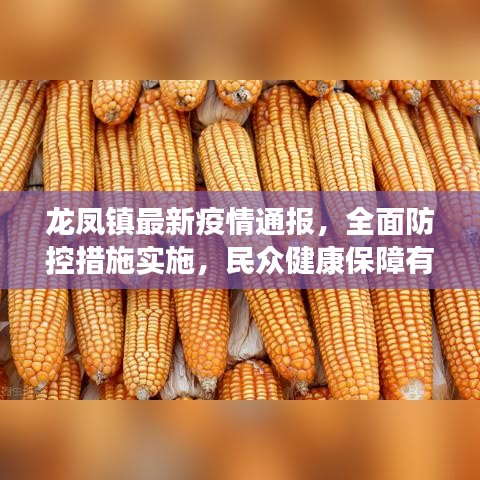 龙凤镇最新疫情通报，全面防控措施实施，民众健康保障有力