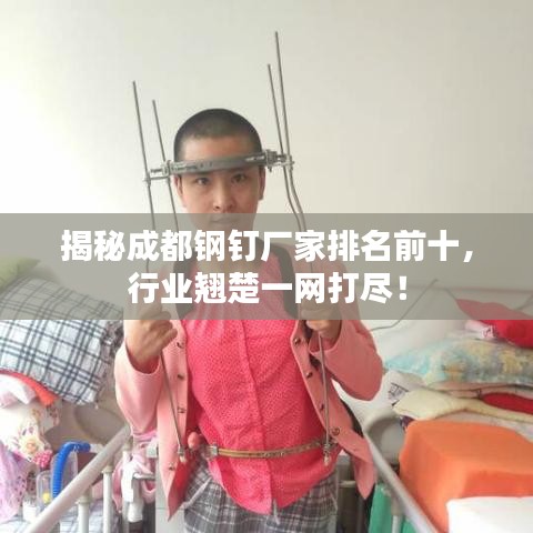 揭秘成都钢钉厂家排名前十，行业翘楚一网打尽！