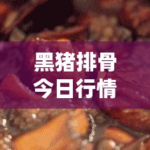 黑猪排骨今日行情深度解析