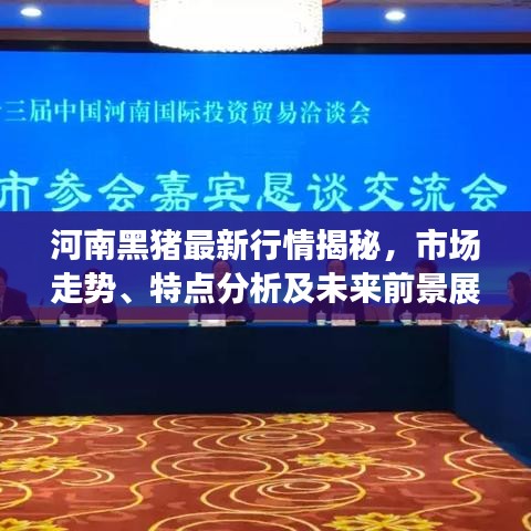 河南黑猪最新行情揭秘，市场走势、特点分析及未来前景展望