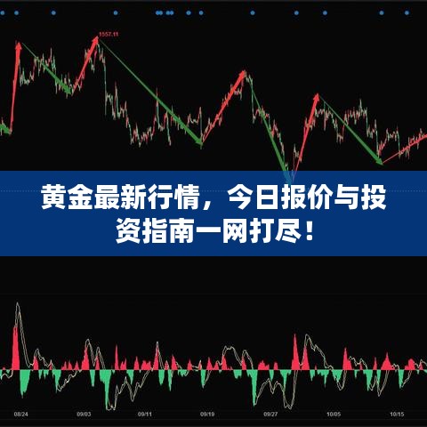 黄金最新行情，今日报价与投资指南一网打尽！