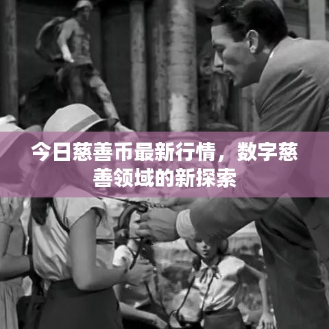 今日慈善币最新行情，数字慈善领域的新探索