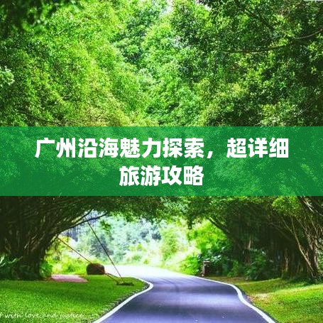 广州沿海魅力探索，超详细旅游攻略