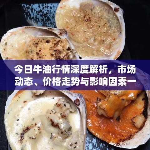 今日牛油行情深度解析，市场动态、价格走势与影响因素一网打尽