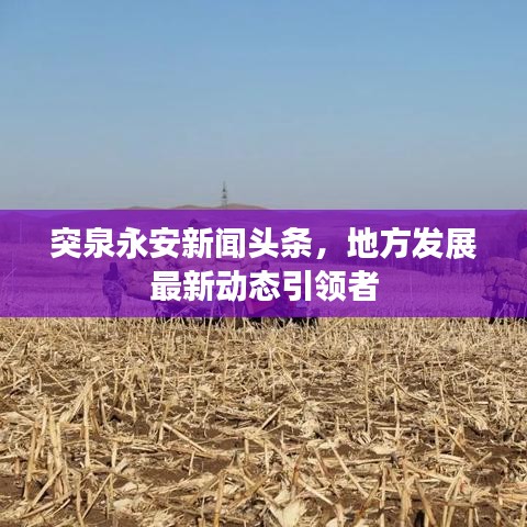 突泉永安新闻头条，地方发展最新动态引领者
