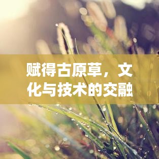 赋得古原草，文化与技术的交融之美探索