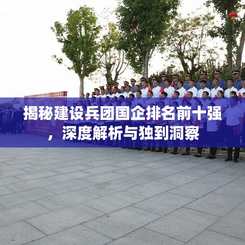 揭秘建设兵团国企排名前十强，深度解析与独到洞察