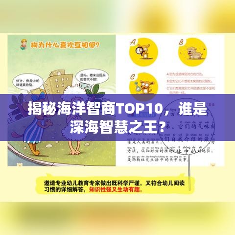 揭秘海洋智商TOP10，谁是深海智慧之王？