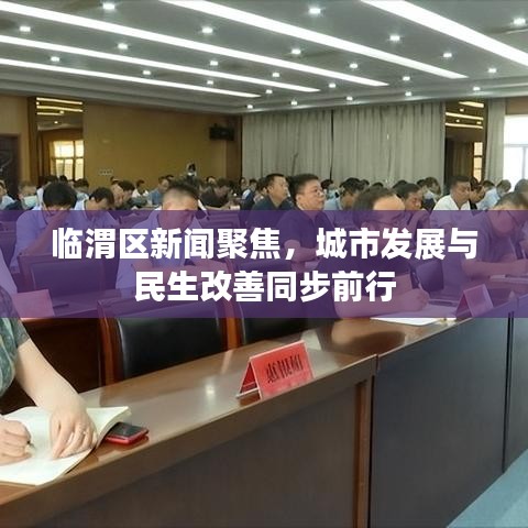 临渭区新闻聚焦，城市发展与民生改善同步前行