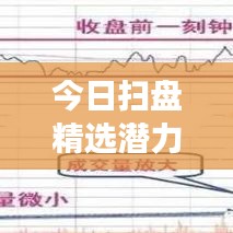 今日扫盘精选潜力股，引领投资风向，不容错过！