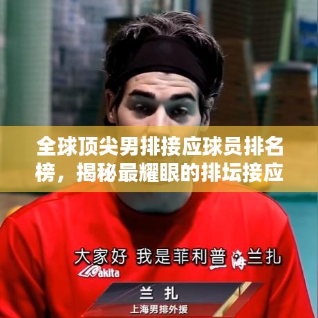 全球顶尖男排接应球员排名榜，揭秘最耀眼的排坛接应之星