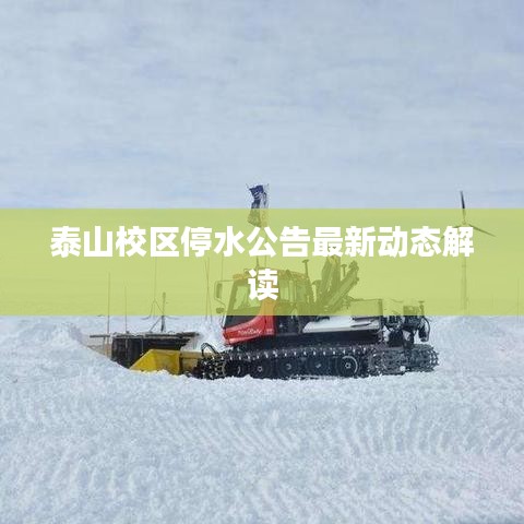 泰山校区停水公告最新动态解读