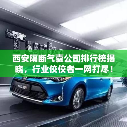 西安隔断气囊公司排行榜揭晓，行业佼佼者一网打尽！