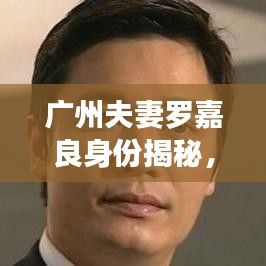 广州夫妻罗嘉良身份揭秘，最新动态与故事回顾