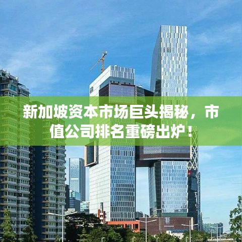 2025年6月6日 第48页