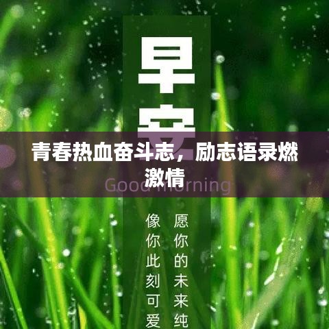 青春热血奋斗志，励志语录燃激情
