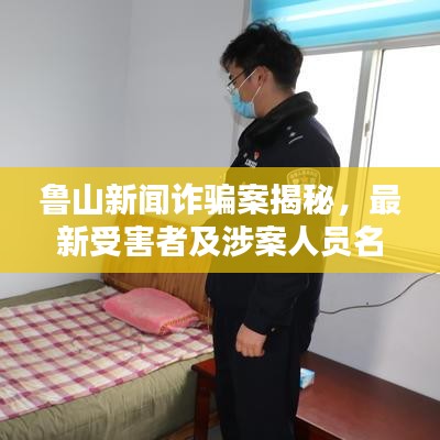 鲁山新闻诈骗案揭秘，最新受害者及涉案人员名单曝光