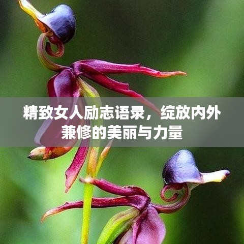 精致女人励志语录，绽放内外兼修的美丽与力量