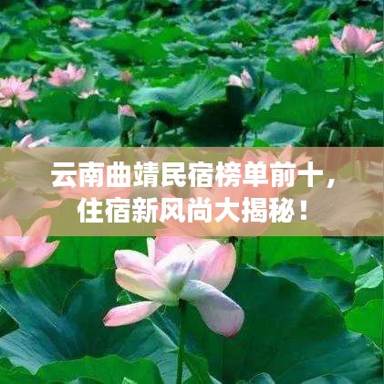 云南曲靖民宿榜单前十，住宿新风尚大揭秘！