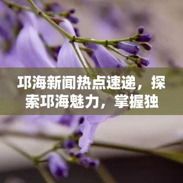 邛海新闻热点速递，探索邛海魅力，掌握独特风情