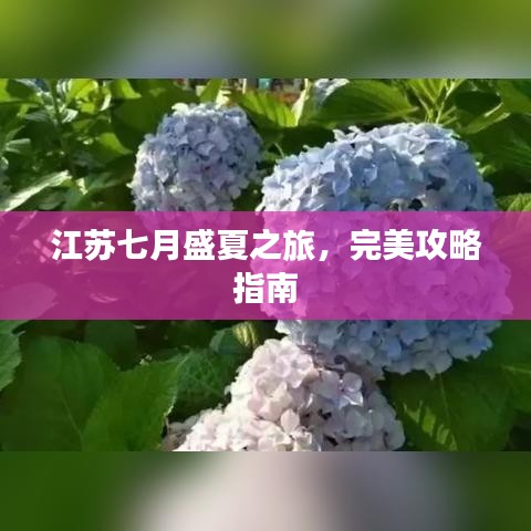 江苏七月盛夏之旅，完美攻略指南