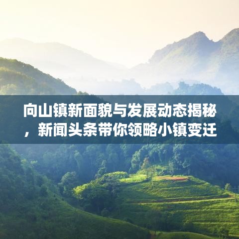 向山镇新面貌与发展动态揭秘，新闻头条带你领略小镇变迁风采