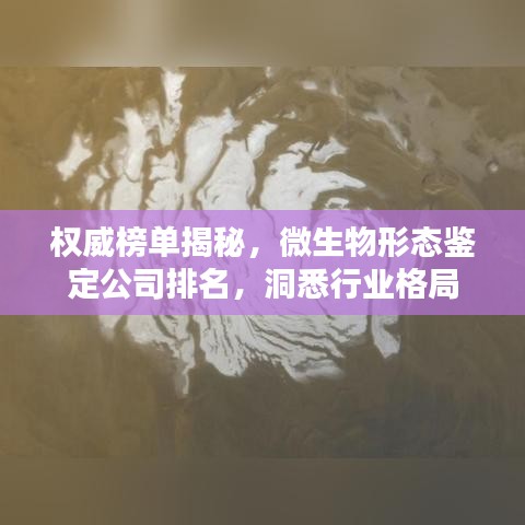 2025年6月12日 第16页