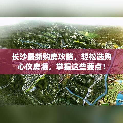 2025年6月12日 第15页