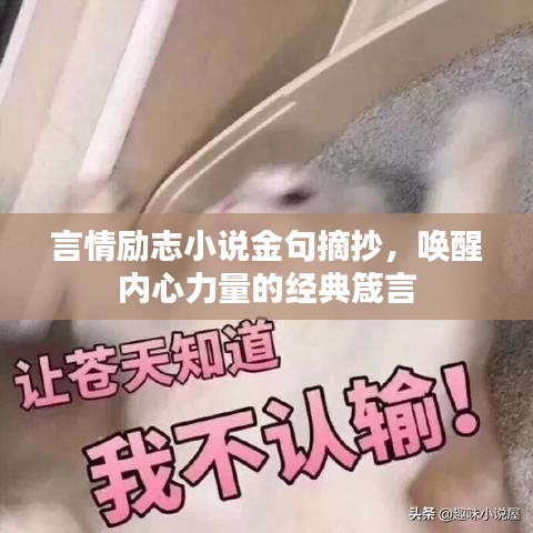 2025年6月12日 第2页