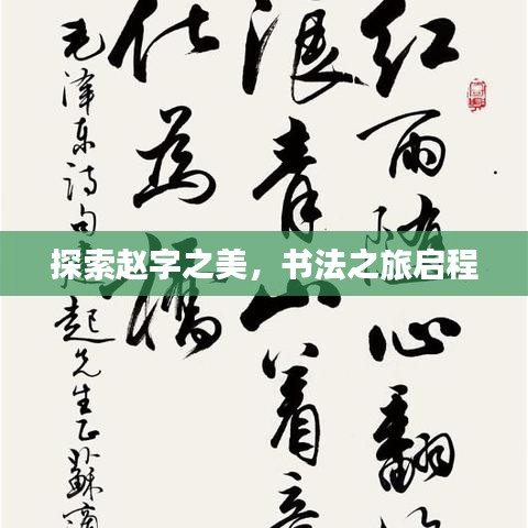 探索赵字之美，书法之旅启程