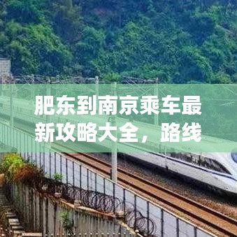 肥东到南京乘车最新攻略大全，路线、班次一网打尽！