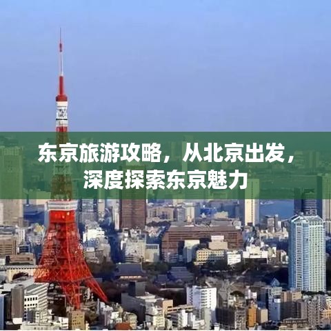 东京旅游攻略，从北京出发，深度探索东京魅力