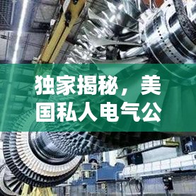 独家揭秘，美国私人电气公司权威排名榜单！