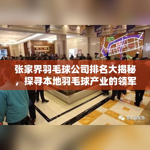 张家界羽毛球公司排名大揭秘，探寻本地羽毛球产业的领军者
