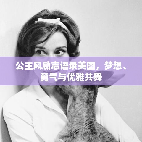 公主风励志语录美图，梦想、勇气与优雅共舞