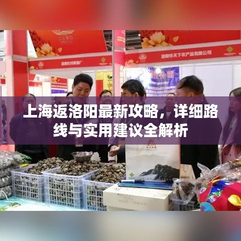 2025年6月26日 第14页