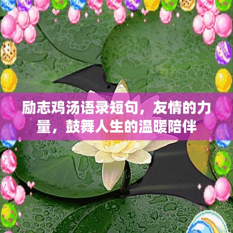 2025年6月26日 第5页