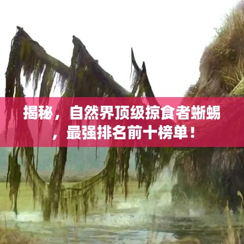 2025年6月27日 第24页