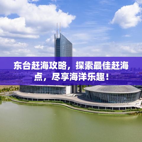 东台赶海攻略，探索最佳赶海点，尽享海洋乐趣！