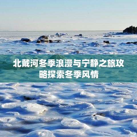 2025年6月28日 第11页